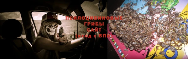 дурь Верея