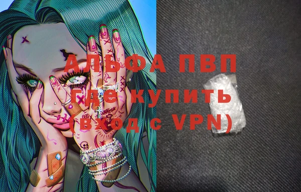 ПСИЛОЦИБИНОВЫЕ ГРИБЫ Няндома