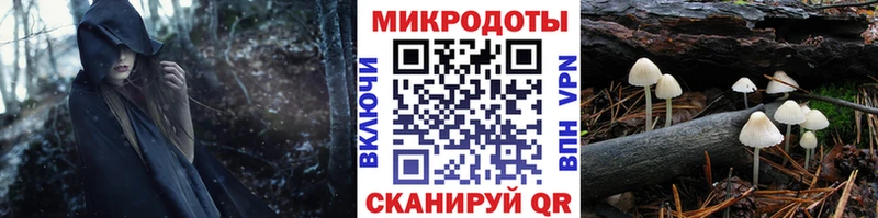 Галлюциногенные грибы прущие грибы  Грязовец 