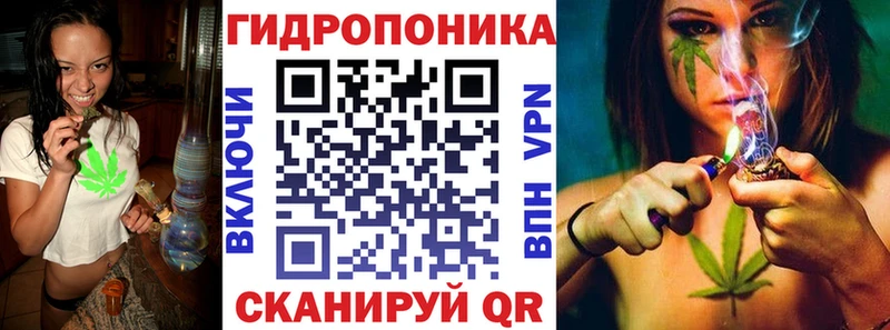 mega tor  Грязовец  Бошки марихуана THC 21% 